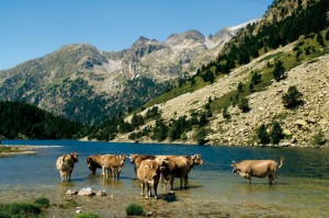 El-Parque-Nacional-de-Aiguestortes1