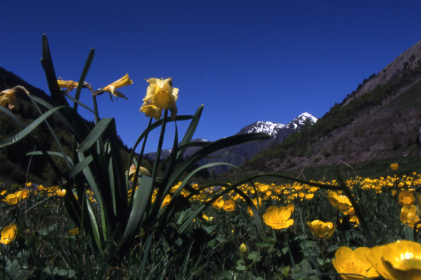 Baqueira-Beret-un-destino-ideal-para-la-primavera