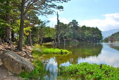Vallée d'Aran. Bassa d'Oles
